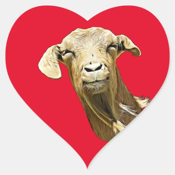 Meet your Posher, Maya - Picture 1 of 1